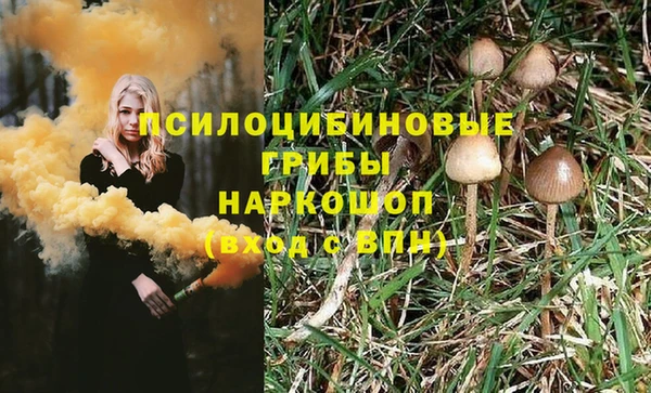 первитин Ладушкин