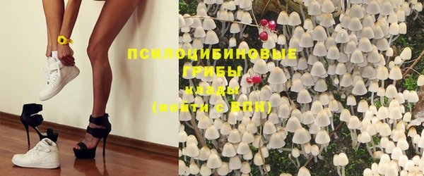 таблы Лабытнанги