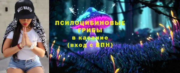 первитин Ладушкин