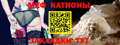 мдпв Камышлов