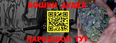 скорость Дубна