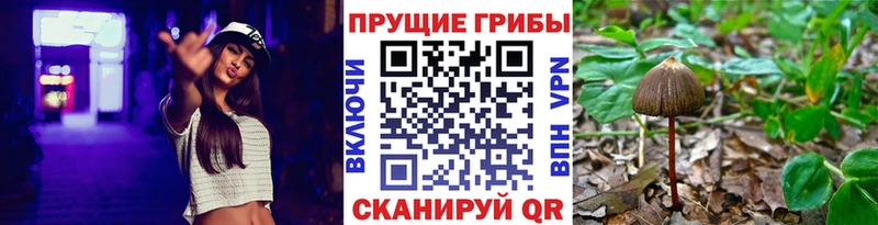 Псилоцибиновые грибы GOLDEN TEACHER  Керчь 
